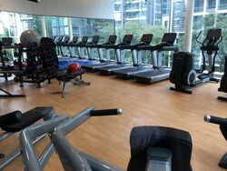 Cairnhill Nine (D9), Apartment #534504321